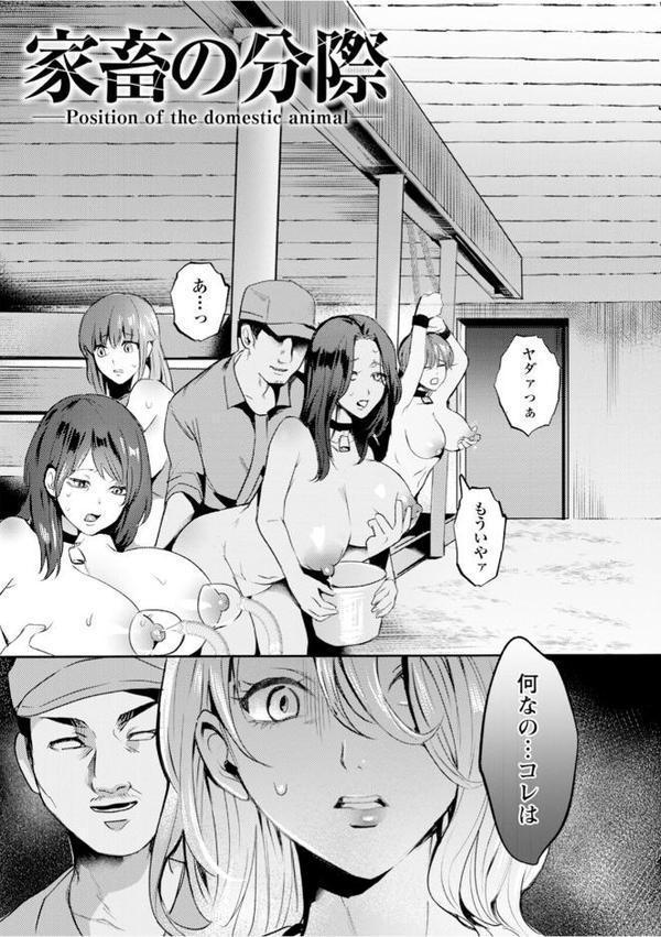 神乳SEVEN vol.63【神乳SEVEN編集部】