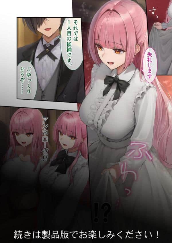 新・異世界王族転生！嫁候補セックスバイキング 〜憧れのヒロイン達にせっせと中○し〜 モザイク版