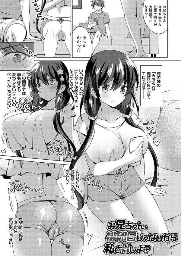 いもうとサンクチュアリ【デジタル特装版】【FANZA限定特典付き】【vanilla】